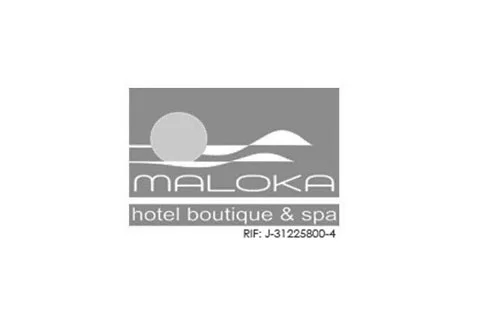 Agencia%20Diseño%20web%20Económico%20en%20Venezuela